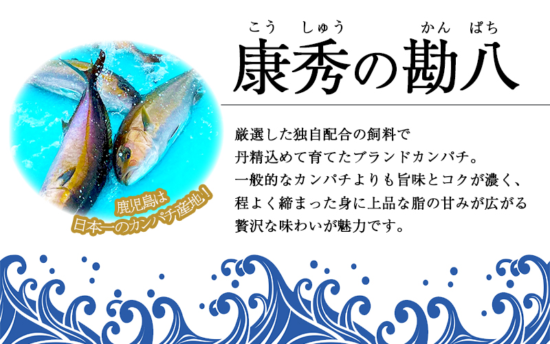 D4-7704／ 康秀の勘八 ロイン 4柵 ＋ カマ 2個（計約1.8kg）冷凍