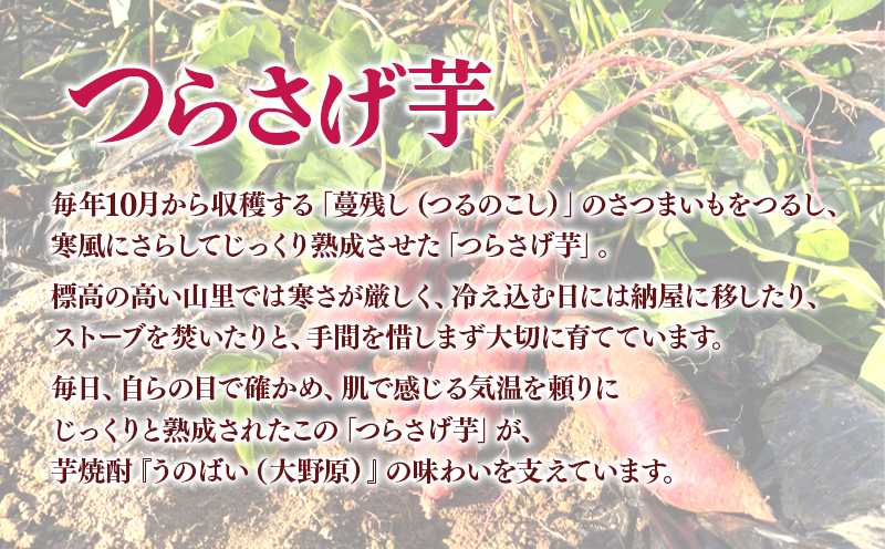 【限定焼酎 6本セット】薩摩の龍・完熟つらさげ芋焼酎 大野原（1.8L×各3本）