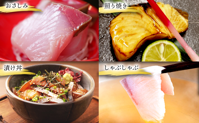 H8-0101／【3回定期】垂水カンパチ『海の桜勘』皮無しロイン 1.4kg （計4.2kg）