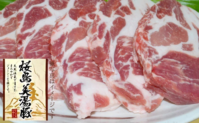 C3-3019／桜島美湯豚 肩ロース肉 ブロック1本（約2kg×1）