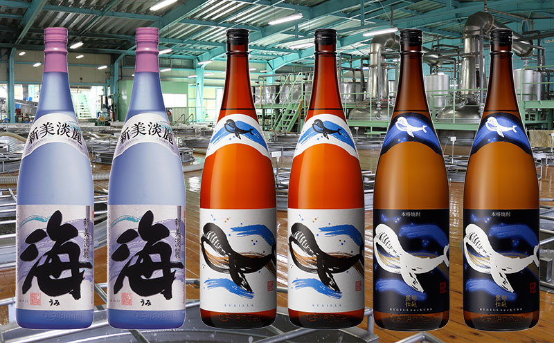 F6-2536／大海酒造 海シリーズ 1800ml×6本セット