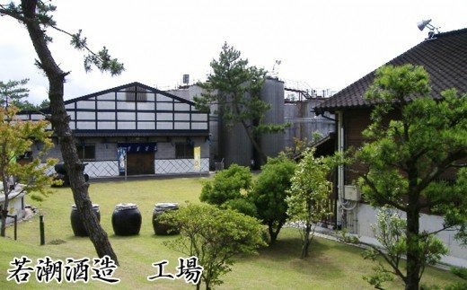 W-0903／天然水割り本格芋焼酎　樵　720ml×1本