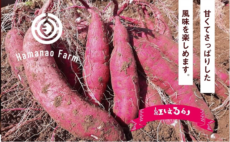 A1-5416／焼き芋アイス 紅はるか(6カップ)