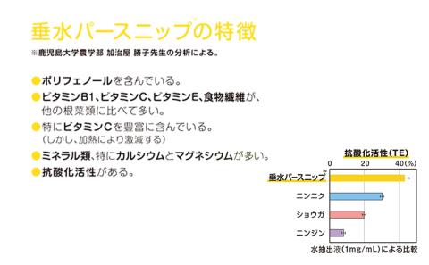 A1-5710／垂水パースニップ　グリッシーニ