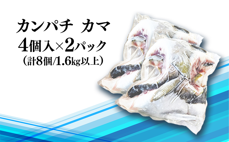 A1-0130／垂水カンパチ『海の桜勘』 カマ 8個（計1.6kg以上）