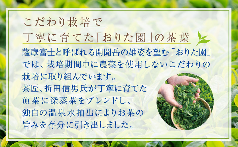 A1-22489／財宝のおいしい お茶 500ml×24本×2箱