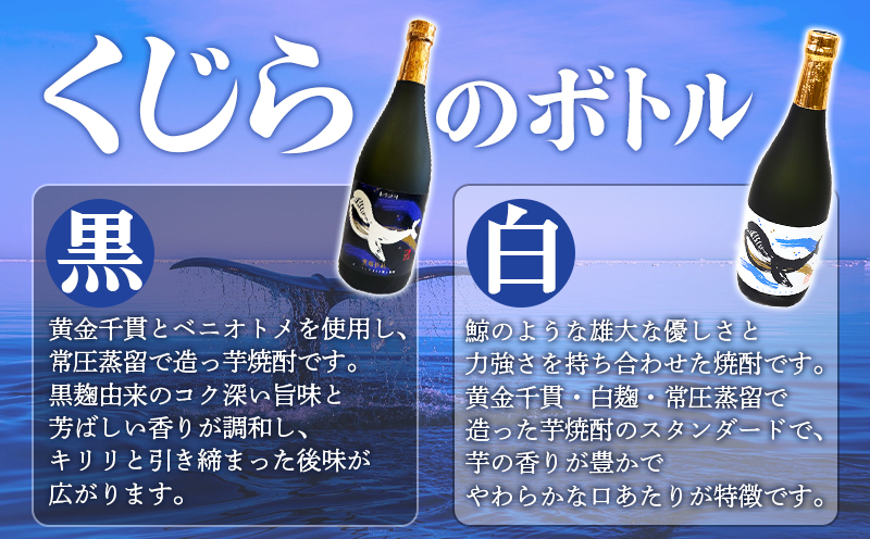 垂水名産芋焼酎 6種 飲み比べセット（720ml・計6本）