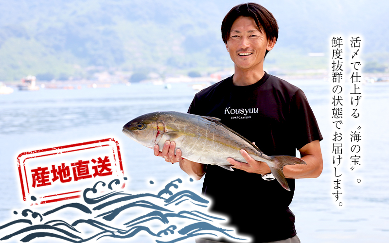 D4-7703／ 康秀の勘八 ロイン 4柵 ＋ カマ 2個（計約1.8kg）冷蔵