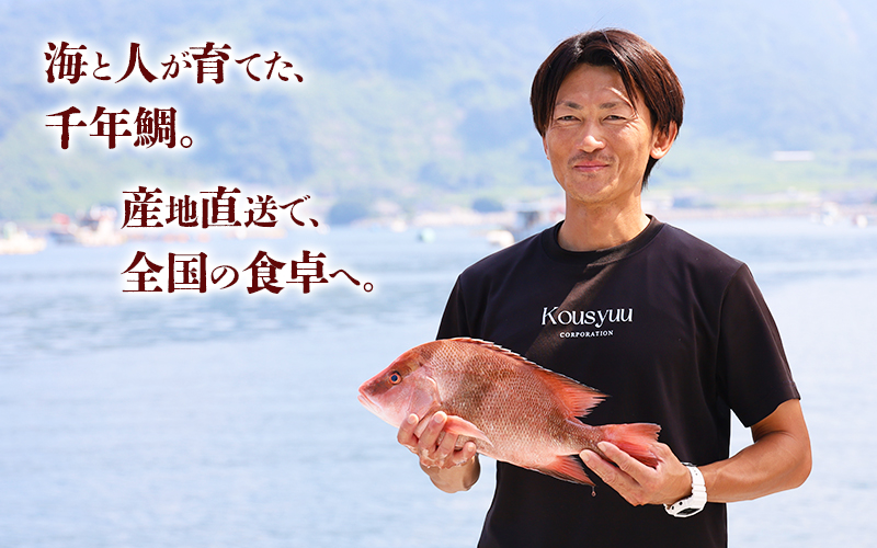 E5-7702／センネンダイ 丸ごと 2尾（内臓処理なし・1尾あたり約1kg）