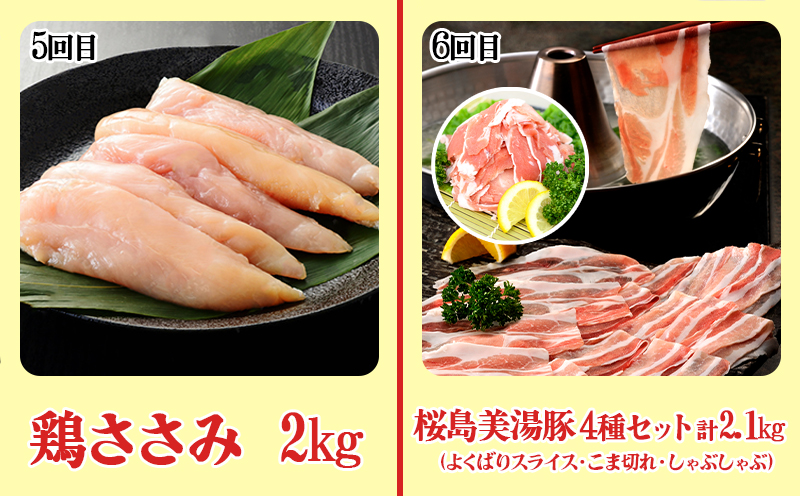 I9-0402／【6回定期便】鹿児島県産 豚肉＆鶏肉 バラエティ定期便