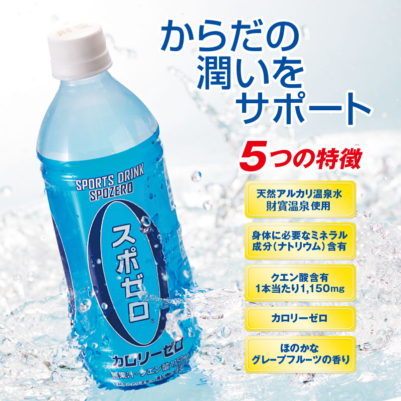 W-22174／財宝温泉のスポーツドリンク（ペットボトル）500ml×24本