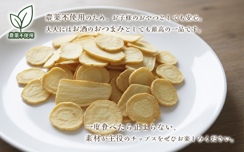 パースニップチップス (25g×1袋)