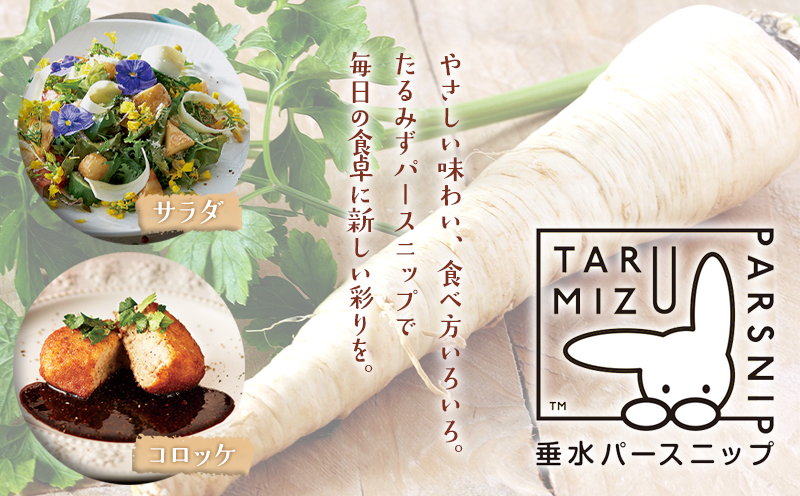 A1-5712／パースニップ　1kg