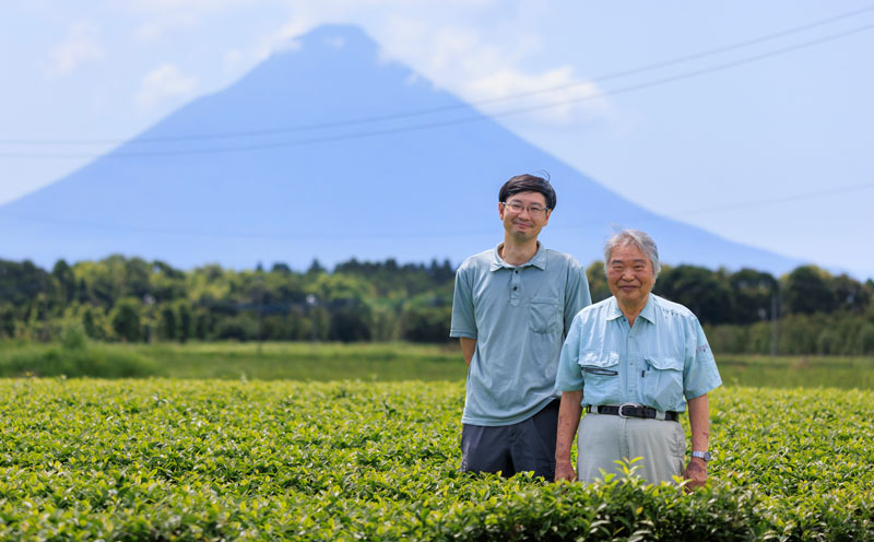 B2-22114／【3回定期】財宝のおいしい お茶 500ml×24本