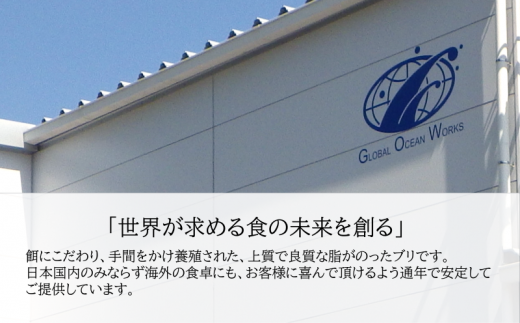 B2-4780／【鹿児島産ぶり】冷凍・ぶり半身セット（皮無ロイン背腹計2ｐ、カマ１ｐ）