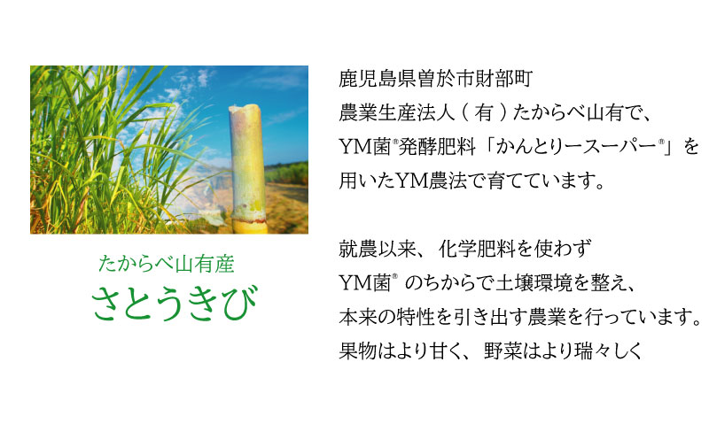 B2-6801／ＹＭ菌 消臭剤 愛しい水 2L×3本 ＆ スプレー セット