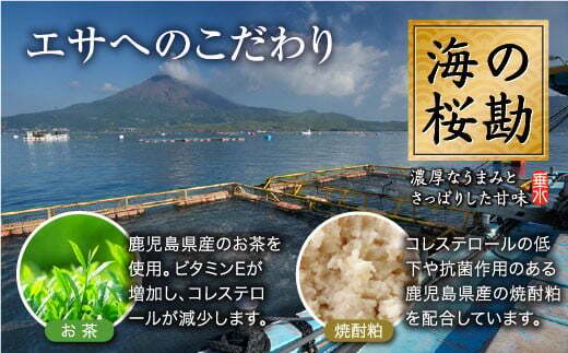 W-0102／垂水カンパチ『海の桜勘』 カマ 4個（計800g以上）