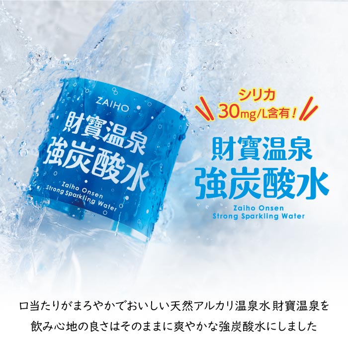 W-22197／財寶温泉　強炭酸水 500ml×24本