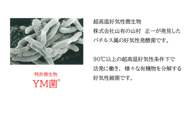 B2-6801／ＹＭ菌 消臭剤 愛しい水 2L×3本 ＆ スプレー セット