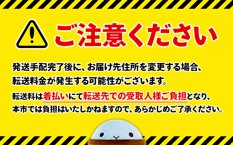W-3104／木場商店 極上しょうゆ3種セット 極上かけじょうゆ・極上だし醬油・たまごかけごはん専用たれ（300ml×各1本・計3本）