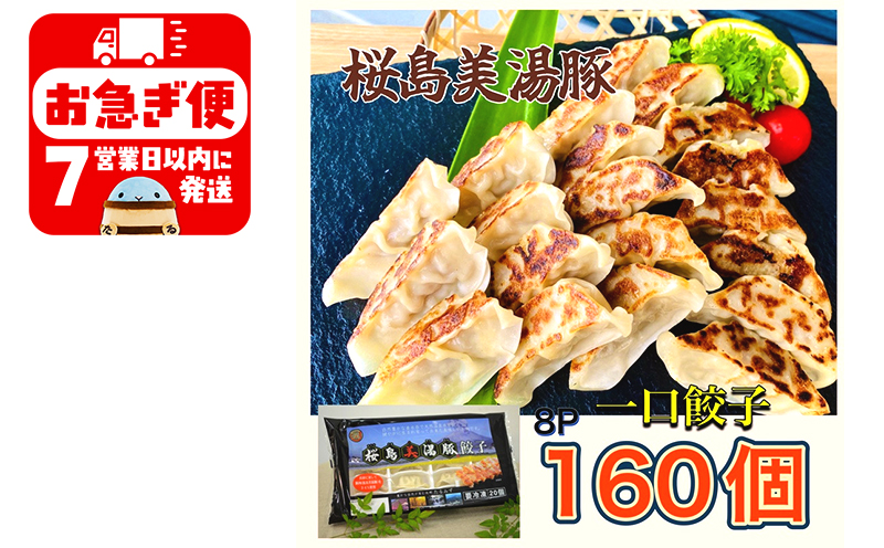 A1-0420／鹿児島県産桜島美湯豚　一口餃子　160個(20個×8パック)