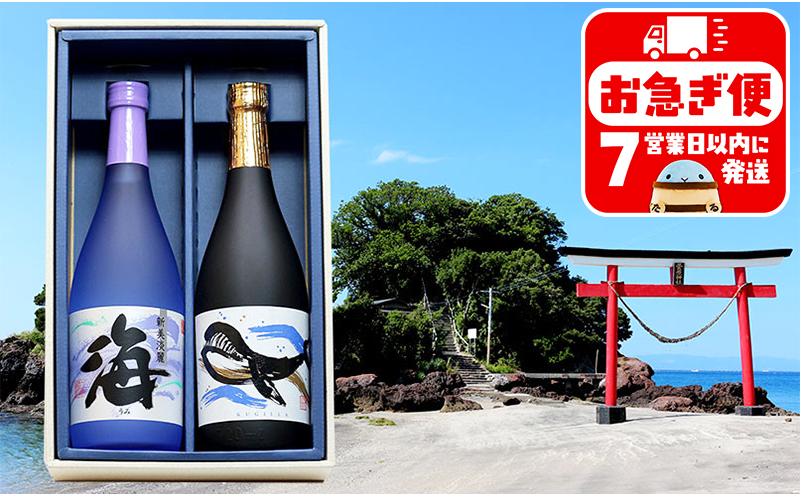A1-25138／大海酒造 海・くじら　720ml　2本セット