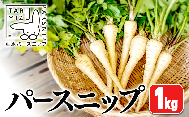 A1-5712／パースニップ　1kg