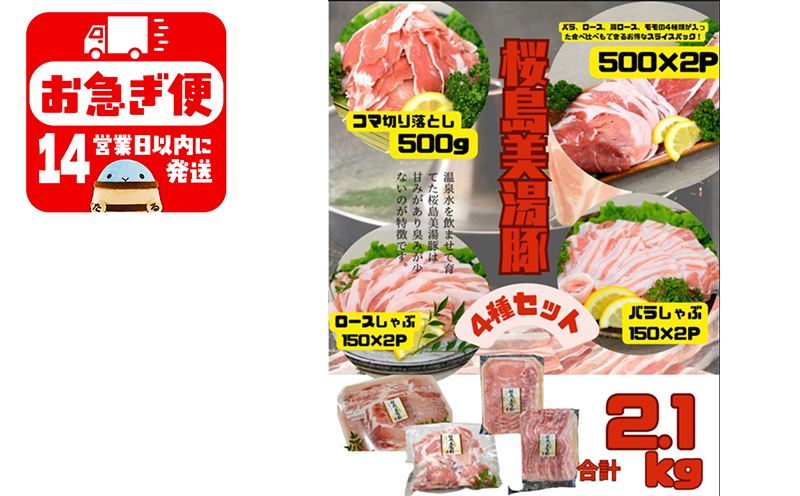 B2-0406／鹿児島県産 桜島美湯豚 4種セット 計2.1kg