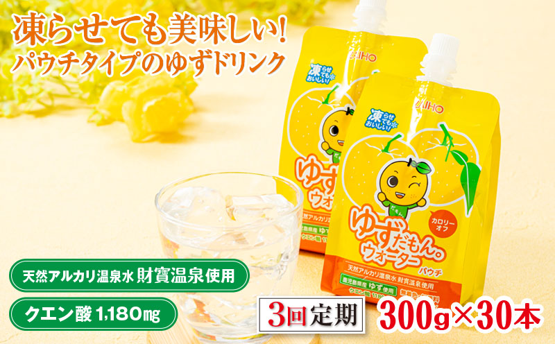 B2-22113／【3回定期】 ゆずドリンク 300g×30本 パウチ ゆずだもん。ウォーター