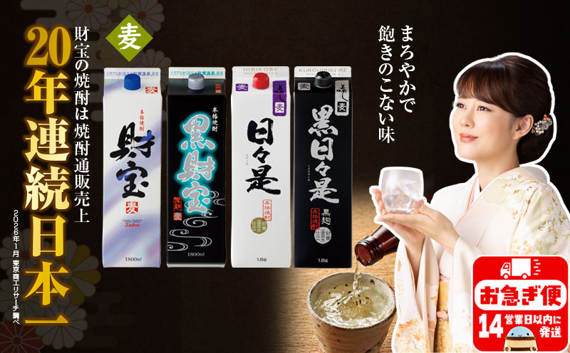 【麦焼酎】紙パック 4種4本 温泉水 財宝 鹿児島 焼酎 お酒