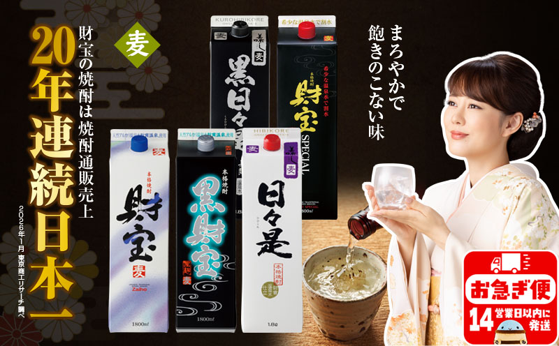 【麦焼酎】紙パック 5種5本 温泉水 財宝 鹿児島 焼酎 お酒