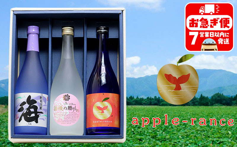 B2-25174／大海酒造 特選焼酎 720ml 3本セット