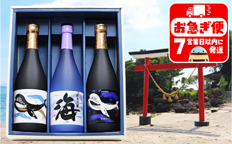 B2-25176／大海酒造 　720ml　3本セット