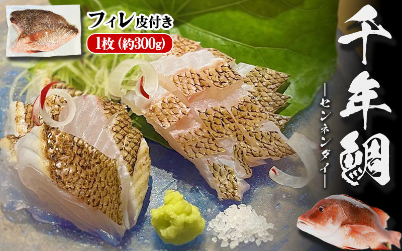 B2-7703／ 康秀の千年鯛 フィレ 皮つき 1枚（約300g）