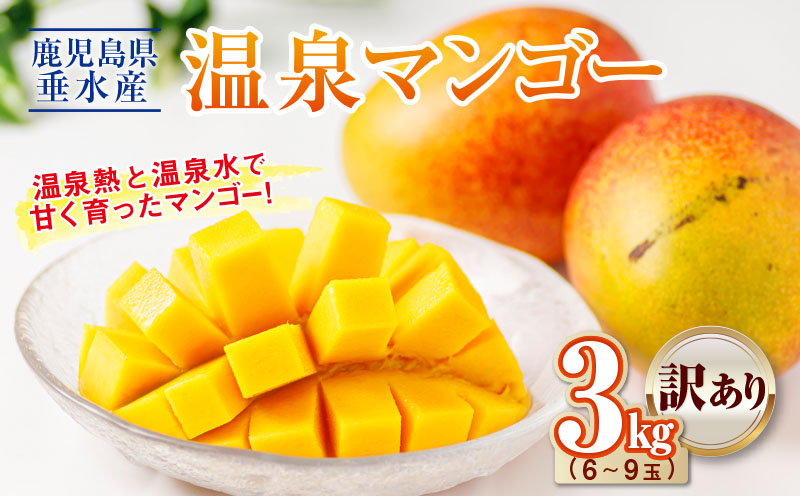 C3-22143／【訳あり品】鹿児島産 温泉マンゴー 3kg 期間限定 【2026年夏発送】