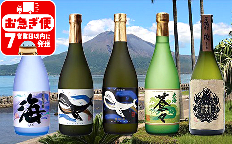 C3-25101／大海酒造　720ml 5本セット