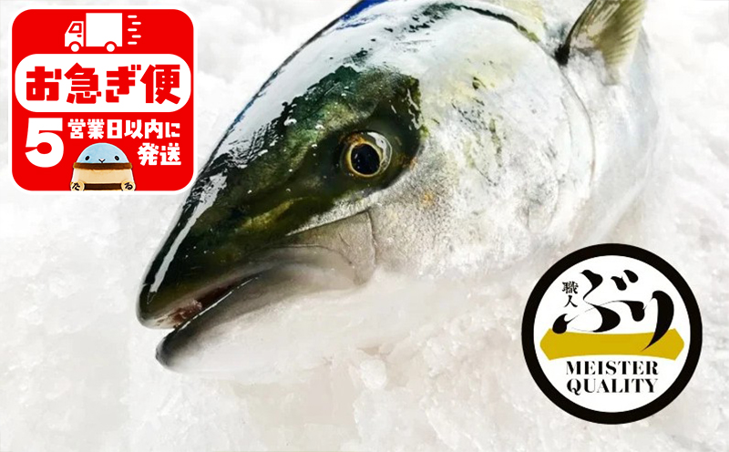 C3-4718／【鹿児島産ぶり】冷蔵・ぶり丸ごと1尾（内臓処理なし）