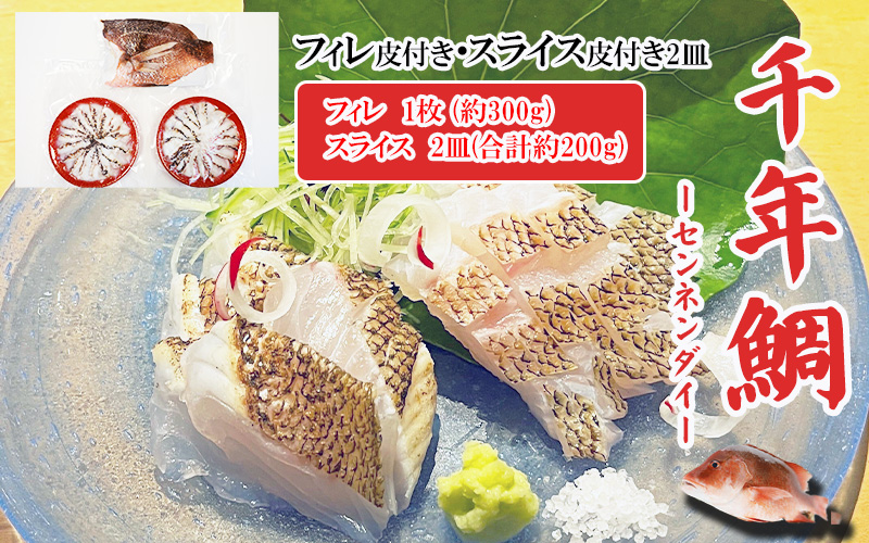 康秀の千年鯛 皮付きフィレ 1枚・皮付きスライス 2皿