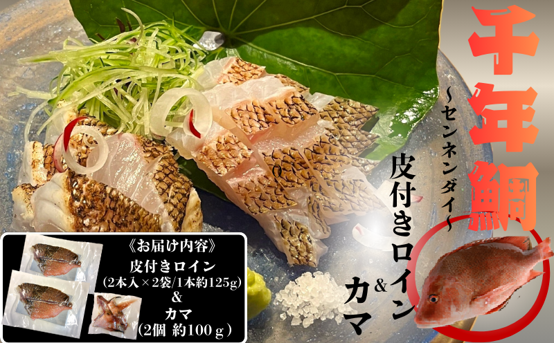 康秀の千年鯛 皮付き ロイン 4本 ＆ カマ 2個付