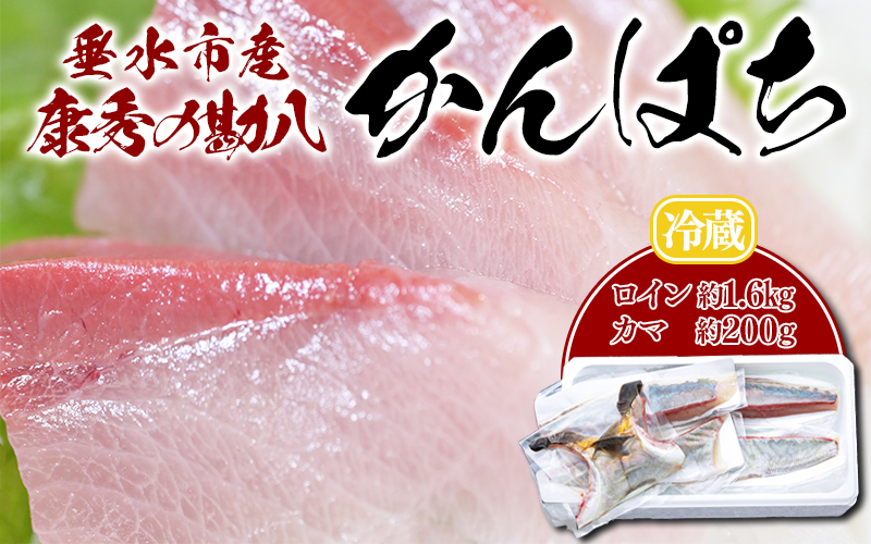 D4-7703／ 康秀の勘八 ロイン 4柵 ＋ カマ 2個（計約1.8kg）冷蔵