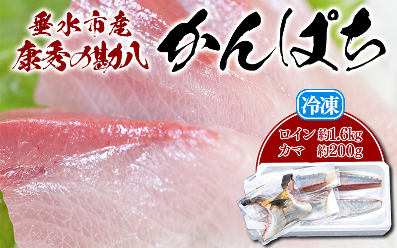 D4-7704／ 康秀の勘八 ロイン 4柵 ＋ カマ 2個（計約1.8kg）冷凍