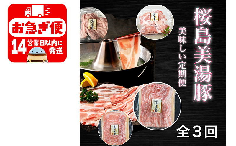 F6-0401／鹿児島県産桜島美湯豚　満腹セット　3回定期便