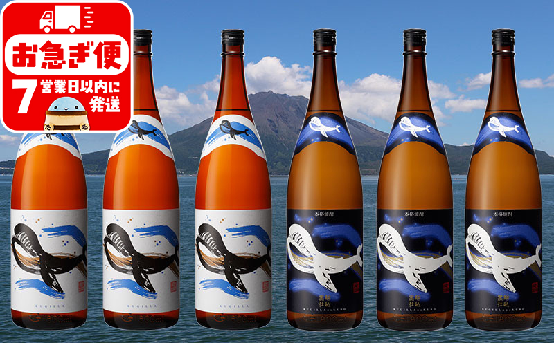 F6-2531／大海酒造くじらのボトル　1.8L　6本セット