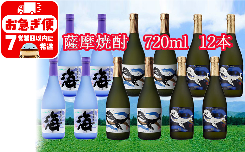 G7-2502／大海酒造特選飲み比べ 720ml 12本