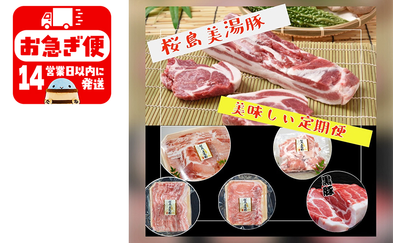 J11-0401／鹿児島県産桜島美湯豚　満腹セット　6回定期便