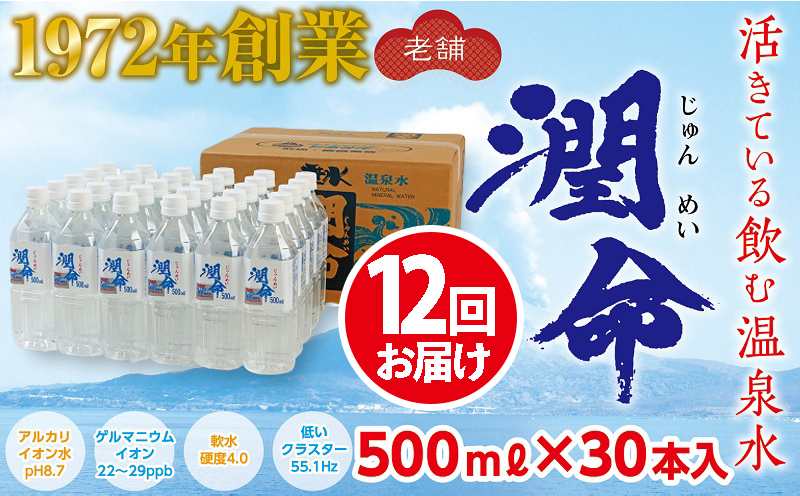 T25-1101／【12回定期便】飲む垂水温泉水　潤命　(500ml×30本）