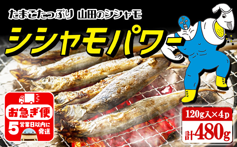 W-1802／冷凍 子持ち からふとししゃも シシャモパワー　480g（120g×4パック）