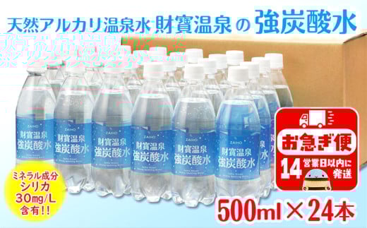 W-22197／財寶温泉　強炭酸水 500ml×24本