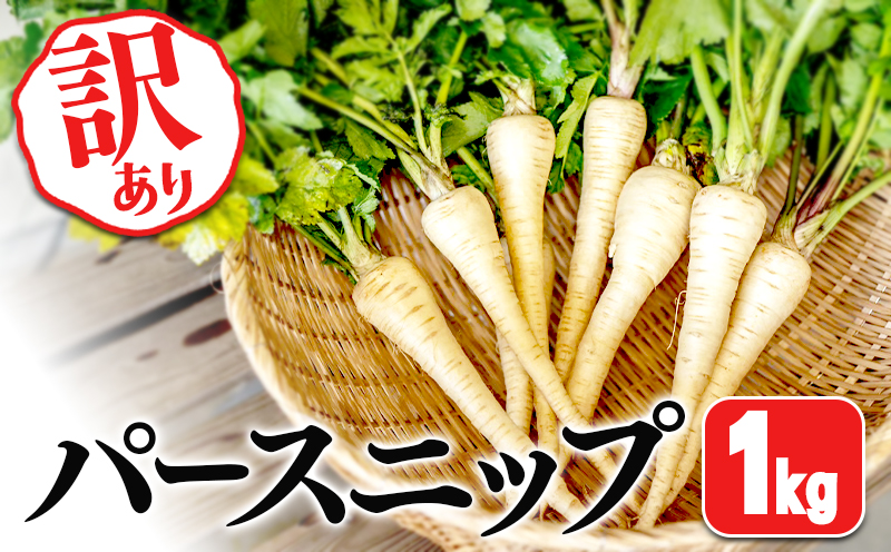 W-5701／【訳あり】パースニップ　1kg