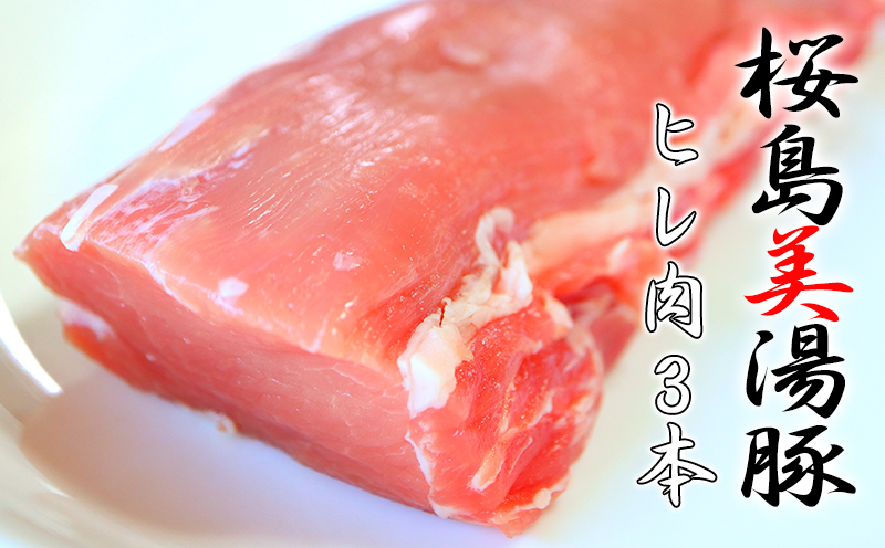 B2-3072／桜島美湯豚　ヒレ肉×3本